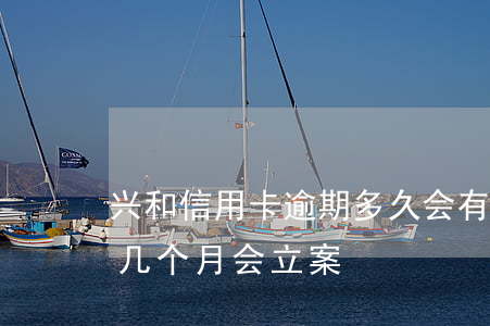 兴和信用卡逾期多久会有案底(欠信用卡逾期几个月会立案)