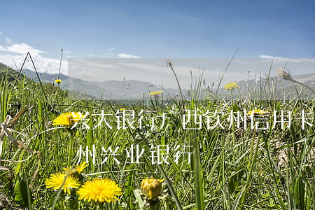 兴大银行广西钦州信用卡逾期名单-广西钦州兴业银行