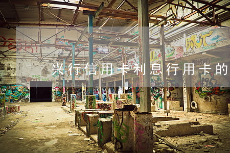 兴行信用卡利息(行用卡的利息是多少)