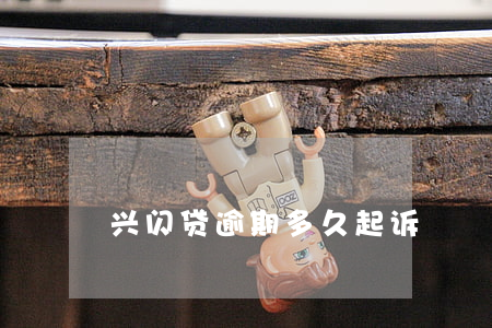 兴闪贷逾期多久起诉
