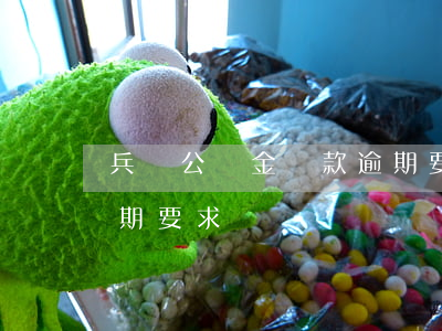 兵團公積金貸款逾期要求(兵團公積金貸款逾期要求)
