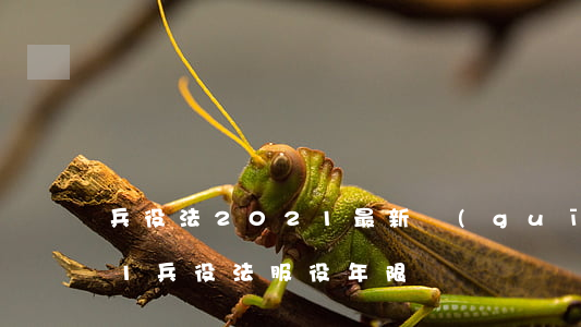 兵役法2021最新規(guī)定(2021兵役法服役年限)