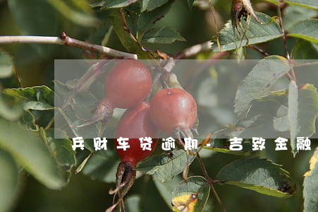 兵财车贷逾期-吉致金融车贷逾期一年