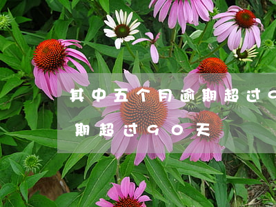 其中五个月逾期超过90天(五年内有一次逾期超过90天)