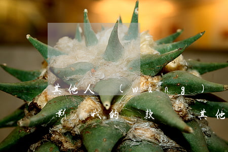 其他人網(wǎng)貸逾期會(huì)影響我的貸款嗎-其他人網(wǎng)貸逾期會(huì)影響我的貸款嗎知乎