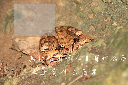 其他信用卡不還有什么后果(銀行的信用卡還不上有什么后果)