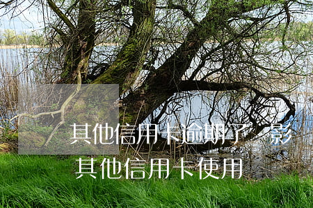 其他信用卡逾期了會影響銀行嗎 逾期會影響其他信用卡使用嗎