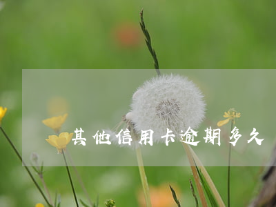 其他信用卡逾期多久會上征信