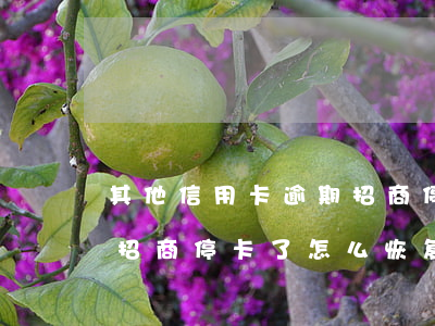 其他信用卡逾期招商停卡了(其他信用卡逾期招商停卡了怎么恢复)