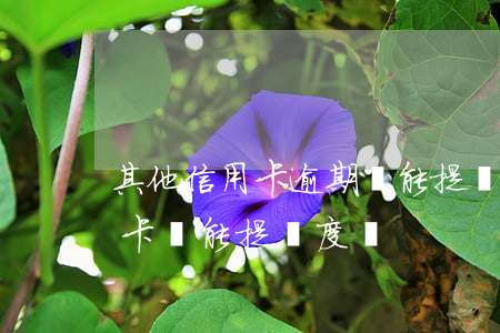 其他信用卡逾期還能提額嗎(有過逾期的信用卡還能提額度嗎)