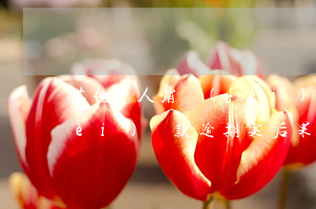 其他個人消費(fèi)貸款逾期(消費(fèi)貸款逾期案后果)
