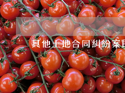 其他土地合同糾紛案(民法土地糾紛)