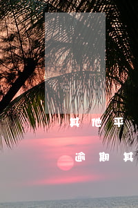其他平臺(tái)借款逾期支付寶 支付寶逾期其他都不能借款了