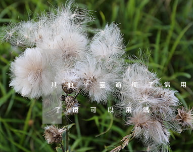 其他平臺逾期了信用卡還能用嗎(信用卡逾期了還可以用嗎)