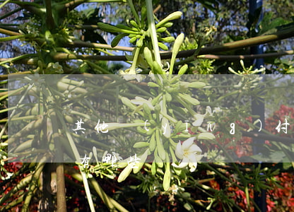 其他應(yīng)付款審計(jì)步驟有哪些