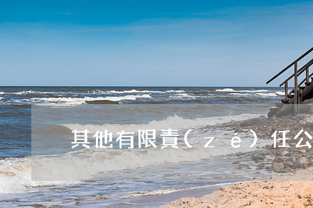 其他有限責(zé)任公司是什么意思