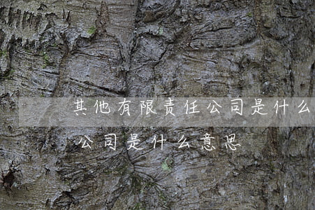 其他有限责任公司是什么意思(其他股份有限公司是什么意思)