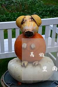 其他網(wǎng)貸逾期影響借唄嗎(支付寶里面的借唄逾期了會(huì)有什么影響)