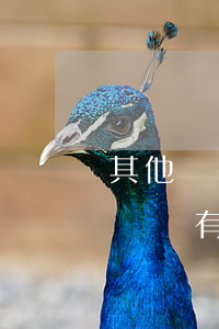 其他網(wǎng)貸逾期影響微粒貸(微粒貸沒有逾期過影響銀行貸款嗎)