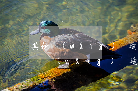 其他網(wǎng)貸逾期影響辦理信用卡嗎(網(wǎng)貸逾期了影響信用卡嗎)