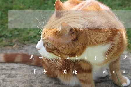 其他網(wǎng)貸逾期有什么渠道還信用卡-其他網(wǎng)貸逾期有什么渠道還信用卡的