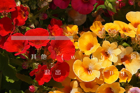 其他網(wǎng)貸逾期申請小贏(小贏卡貸退出網(wǎng)貸)
