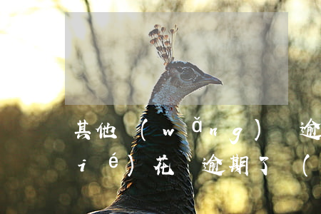 其他網(wǎng)貸逾期花唄被凍結(jié)(花唄逾期了,現(xiàn)在還了, 顯示異常凍結(jié)了)