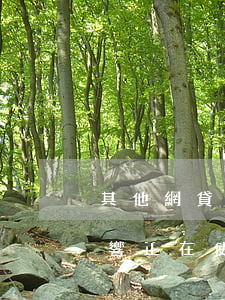 其他網貸逾期信用卡被停(這種網貸逾期會影響正在使用中的信用卡嗎)
