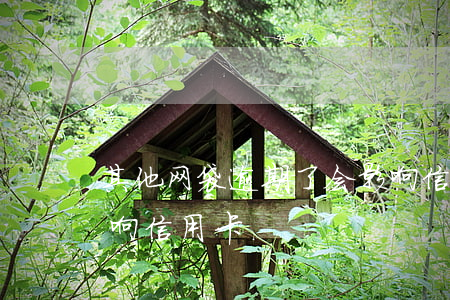 其他网袋逾期了会影响信用卡吗(网袋是否影响信用卡)