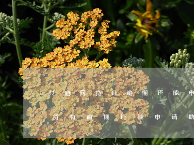 其他网贷有逾期还能申请助学贷吗-其他网贷有逾期还能申请助学贷吗知乎