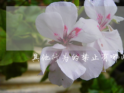 其他行为的禁止有哪些
