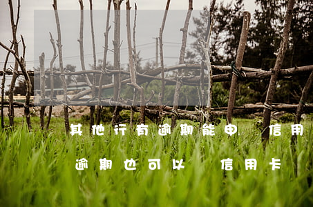 其他行有逾期能申請信用卡嗎(哪個銀行有過逾期也可以辦信用卡)