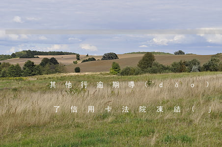 其他行逾期導(dǎo)致凍結(jié)了信用卡(法院凍結(jié)銀行卡導(dǎo)致信用卡逾期怎么辦)