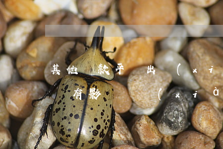 其他貸款平臺出現(xiàn)逾期支付寶會有影響嗎?（現(xiàn)金貸影響支付寶逾期）
