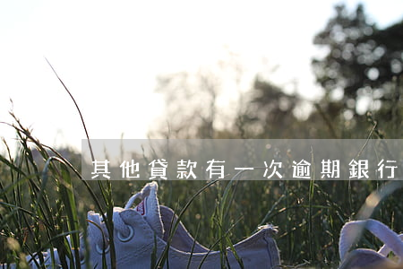 其他貸款有一次逾期(銀行貸款逾期了一次)