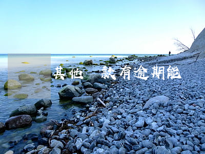 其他貸款有逾期能車貸嗎(其他貸款有逾期能車貸嗎)
