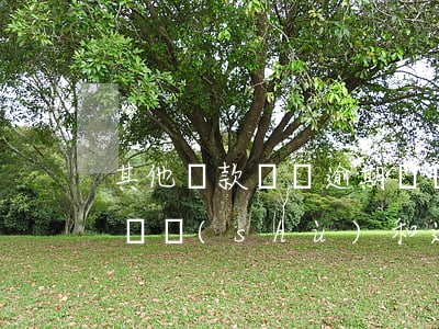 其他貸款賬戶逾期賬戶數(shù)(逾期賬戶數(shù)和逾期次數(shù)區(qū)別)