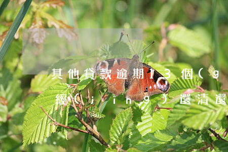 其他貸款逾期13個(gè)(逾期13次已經(jīng)還清還能貸款嗎)
