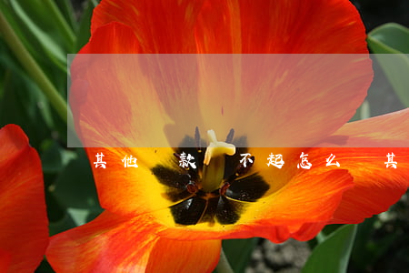 其他貸款還不起怎么辦(其他貸款還不起怎么辦)