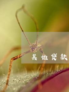 其他贷款笔数多无逾期(贷款 几笔 逾期)