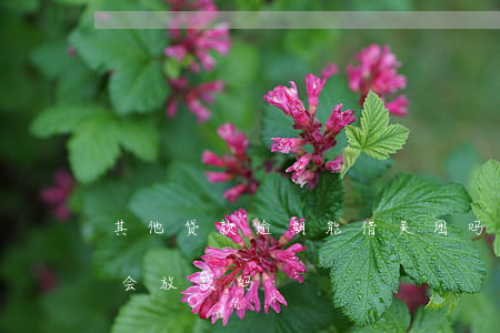 其他贷款逾期能借美团吗(美团借款逾一天还会放款吗)