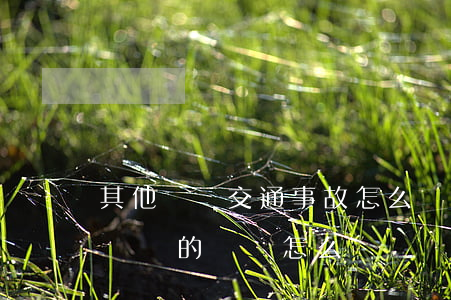 其他車輛交通事故怎么賠償(在交通事故中,被損壞的車輛怎么賠償)