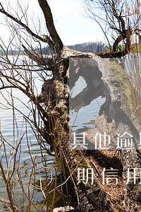 其他逾期信用卡被停用了怎么解决-其他逾期信用卡被停用了怎么解决呢