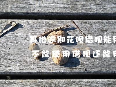 其他逾期花呗借呗能用吗(其他网贷逾期花呗不能使用,借呗还能用不)
