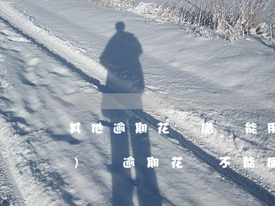 其他逾期花唄借唄能用嗎(其他網(wǎng)貸逾期花唄不能使用,借唄還能用不)