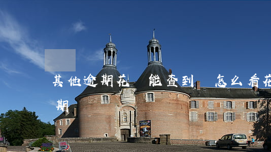 其他逾期花唄能查到嗎(怎么看花唄有沒有逾期過)