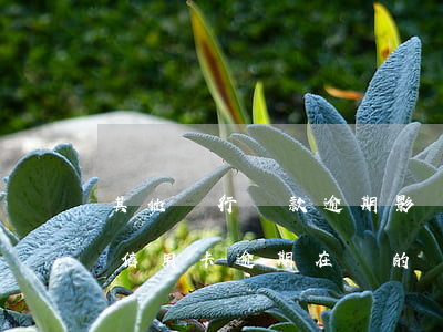其他銀行貸款逾期影響信用卡嗎(在一家銀行信用卡逾期在別的銀行可以貸款嗎?)