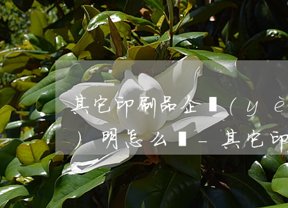 其它印刷品企業(yè)逾期說(shuō)明怎么寫-其它印刷品企業(yè)逾期說(shuō)明怎么寫啊