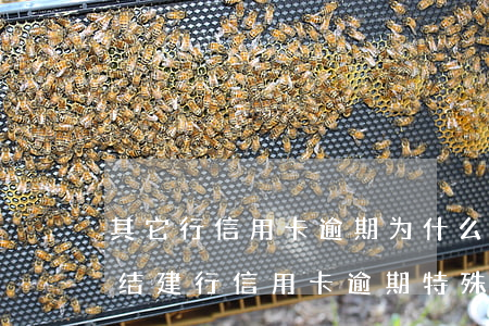 其它行信用卡逾期为什么建行信用卡也被冻结（建行信用卡逾期特殊处理）
