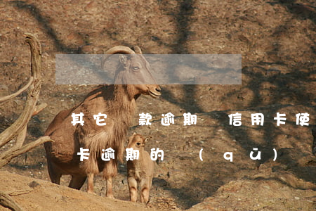 其它貸款逾期對信用卡使用(貸款逾期與信用卡逾期的區(qū)別)